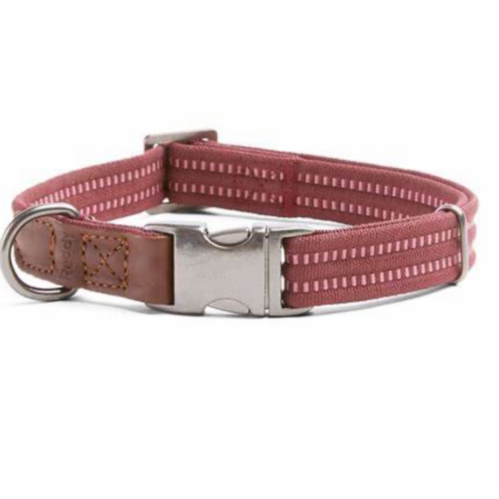 Reddy BURGUNDY Webbed Dog Collar